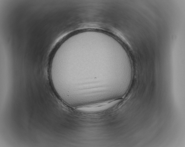 X0000111191312200907291155