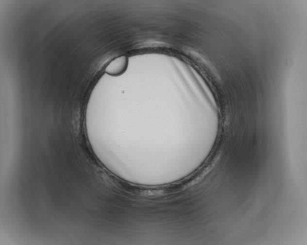 X0000111191313200907291155