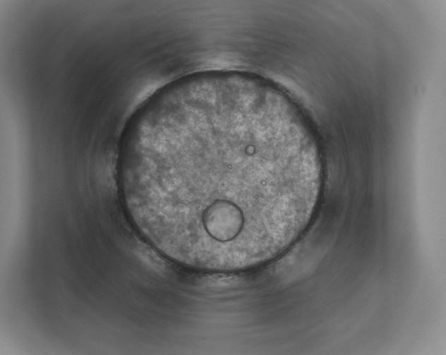 X0000111191314200907291155