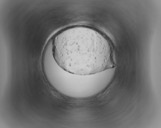 X0000111191316200907291155