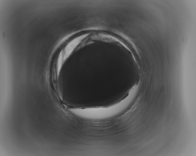 X0000111191319200907291155