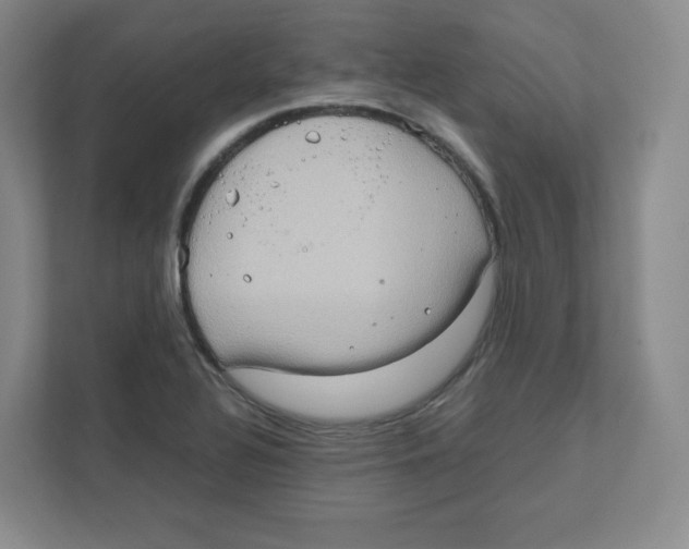 X0000111191320200907291155