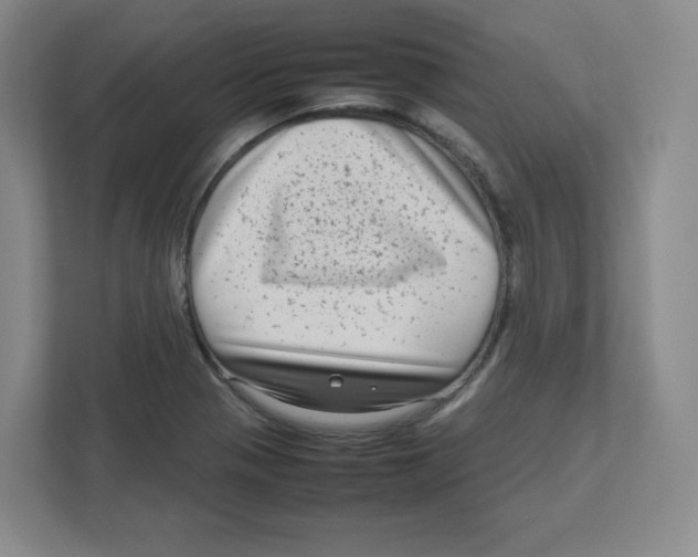 X0000111191321200907291155