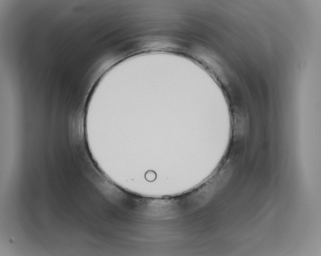 X0000111191322200907291155