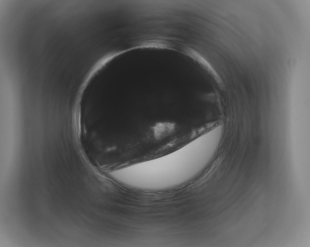X0000111191323200907291155