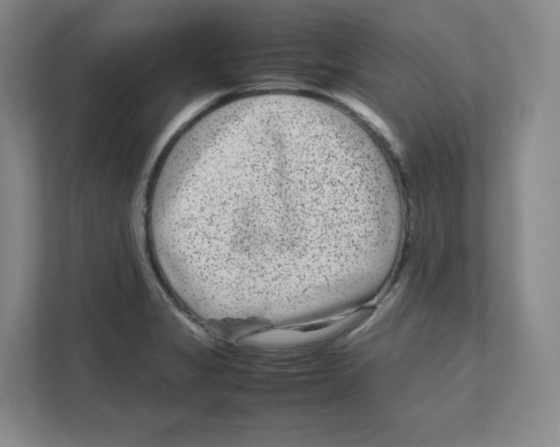 X0000111191325200907291155