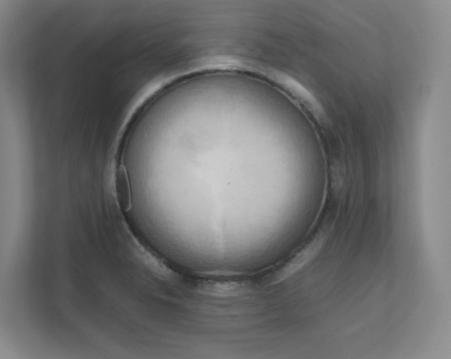 X0000111191326200907291155