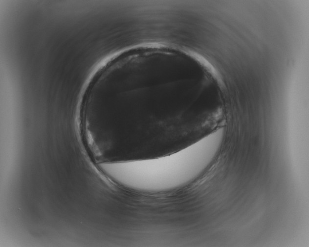 X0000111191327200907291155