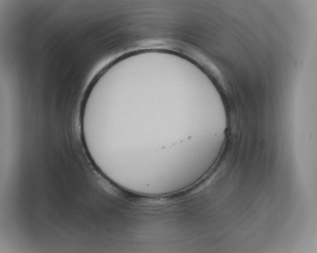 X0000111191328200907291155