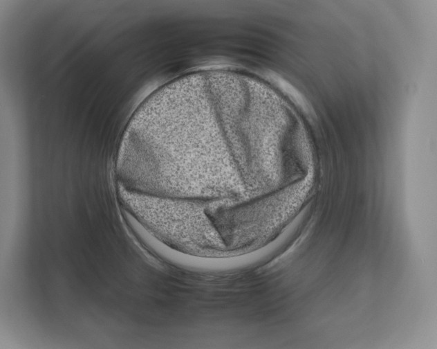X0000111191329200907291155