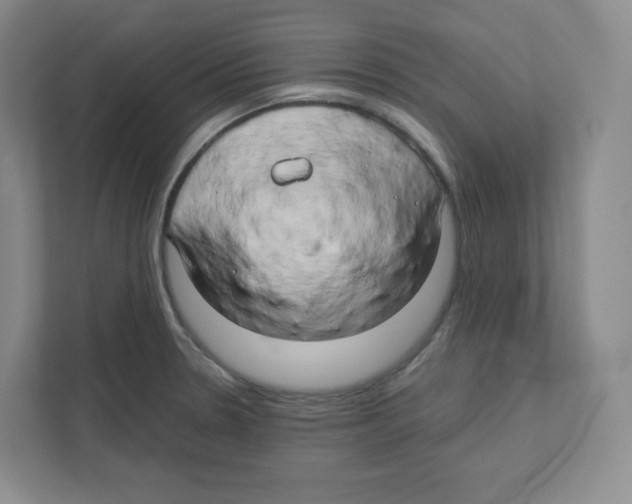 X0000111191330200907291155