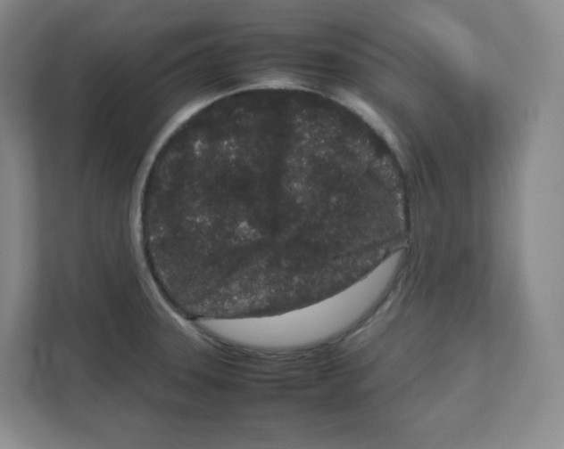 X0000111191331200907291155