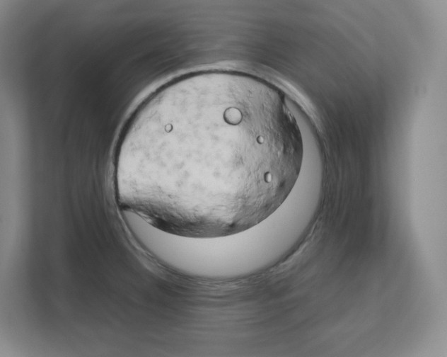 X0000111191332200907291156