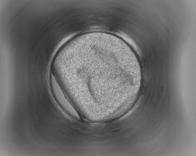 X0000111191333200907291156