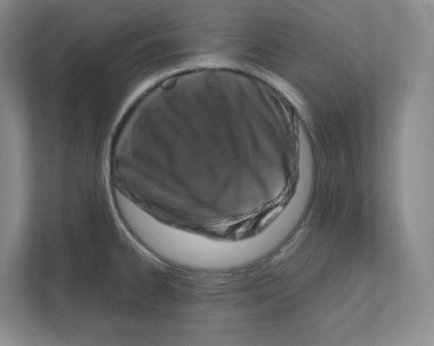 X0000111191334200907291156