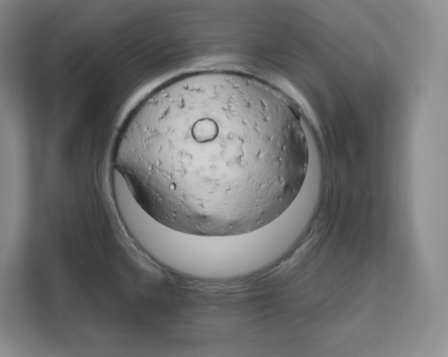 X0000111191336200907291156