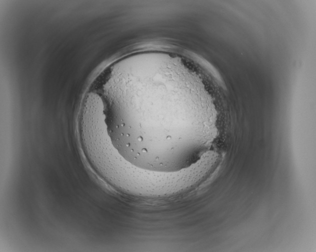 X0000111191338200907291156