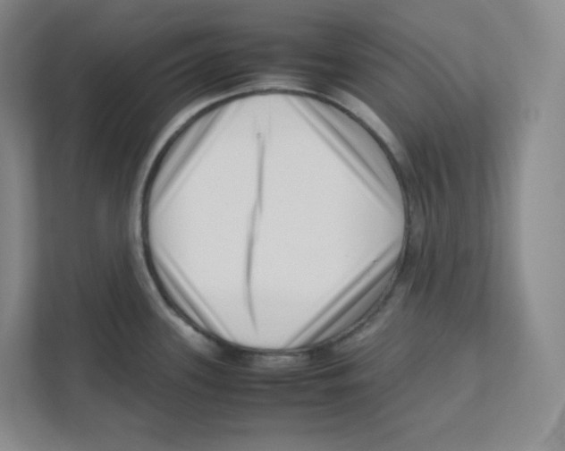 X0000111191339200907291156