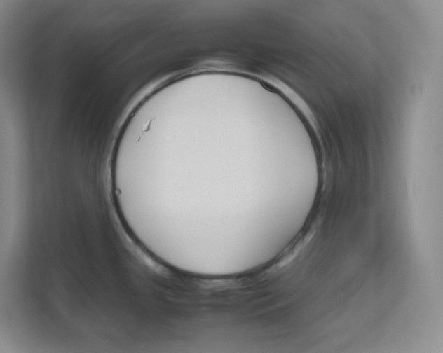 X0000111191341200907291156