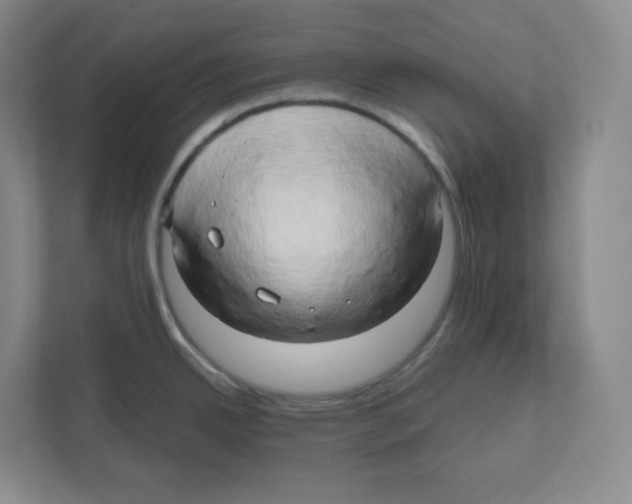 X0000111191342200907291156