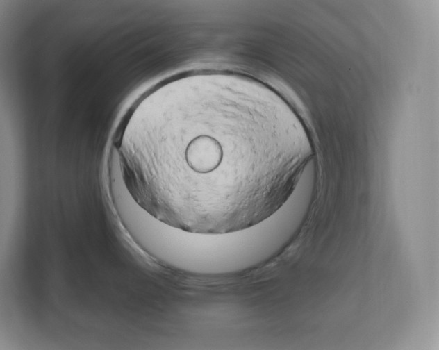 X0000111191344200907291156