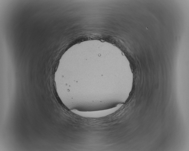 X0000111191345200907291155