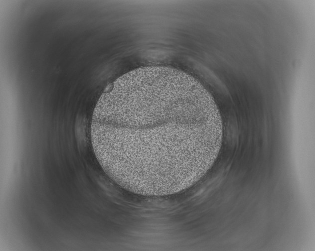 X0000111191346200907291155