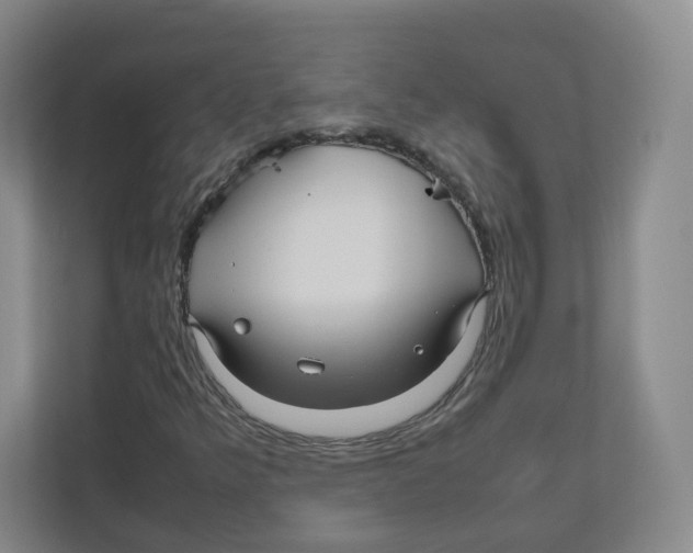 X0000111191349200907291155
