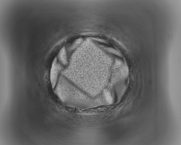 X0000111191351200907291155