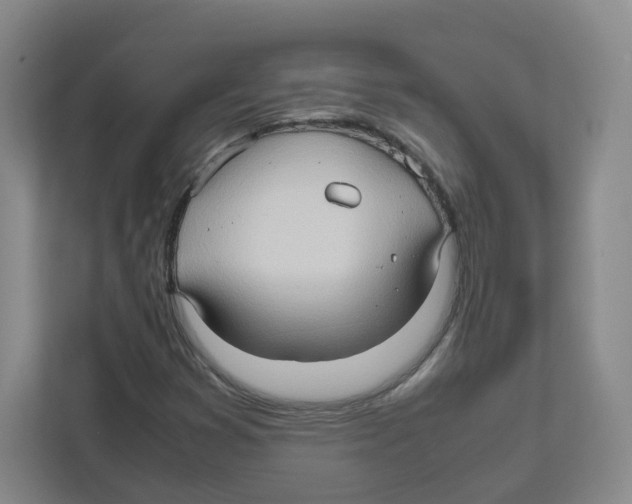 X0000111191353200907291155