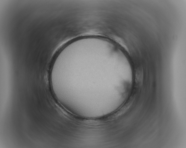 X0000111191356200907291155