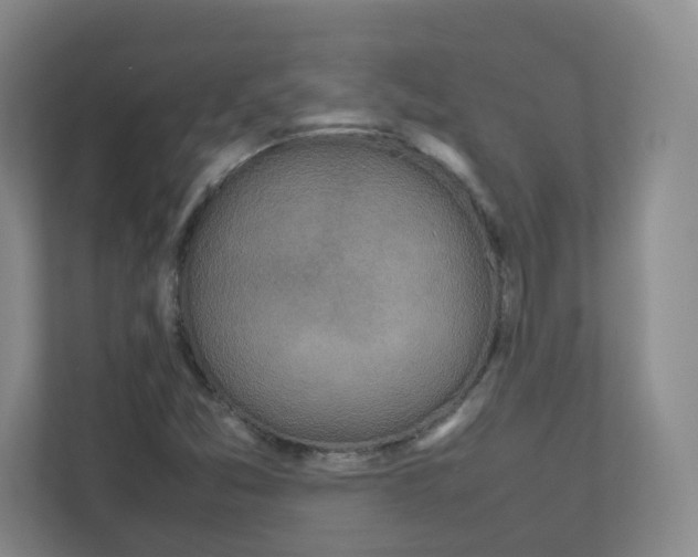 X0000111191357200907291155