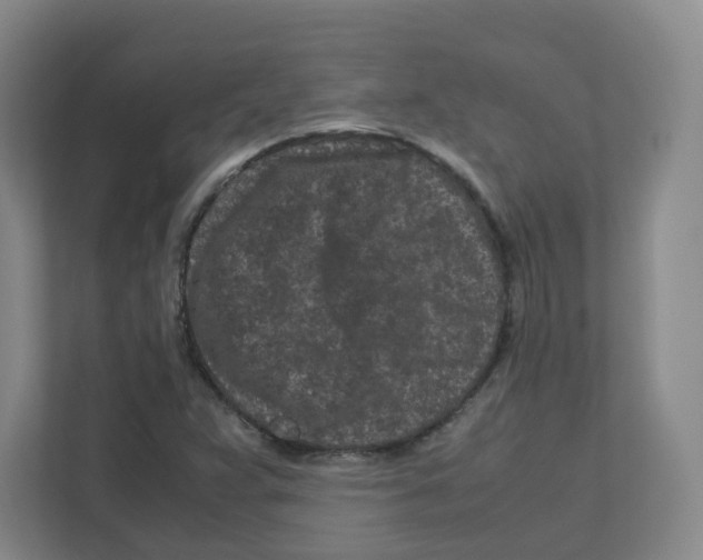 X0000111191359200907291155