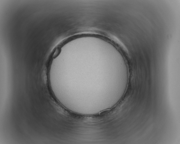 X0000111191360200907291155