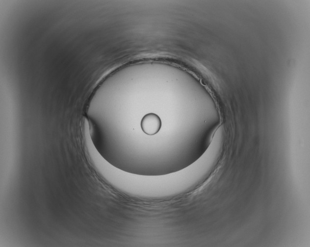 X0000111191361200907291155