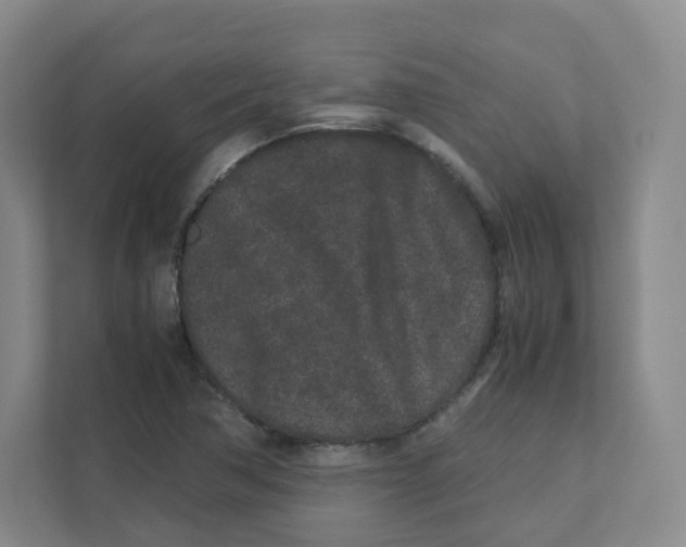X0000111191362200907291155