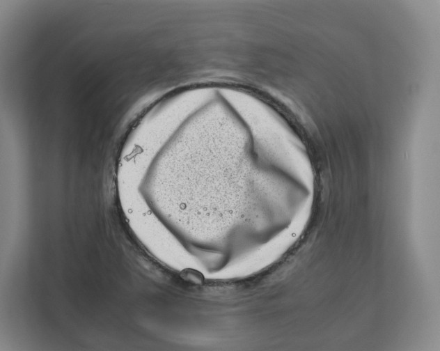 X0000111191363200907291155