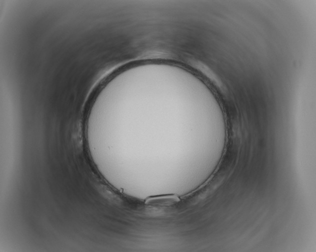 X0000111191364200907291155