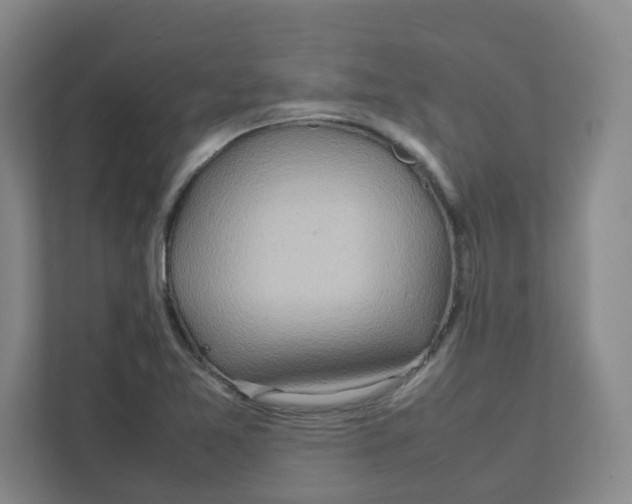 X0000111191365200907291155