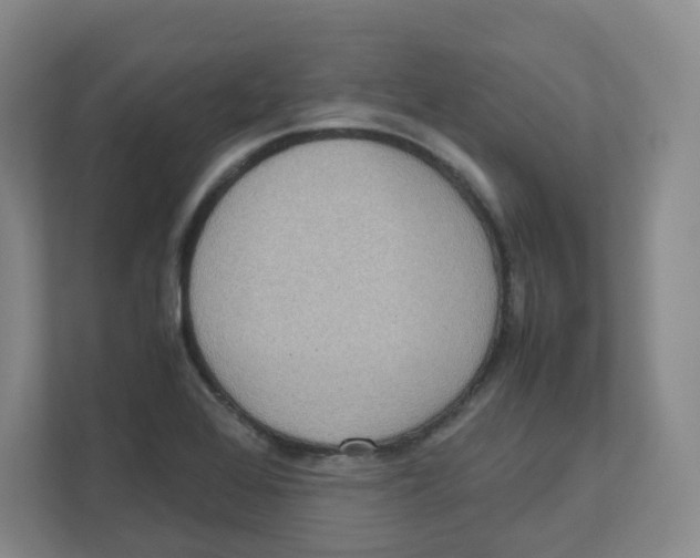 X0000111191368200907291155
