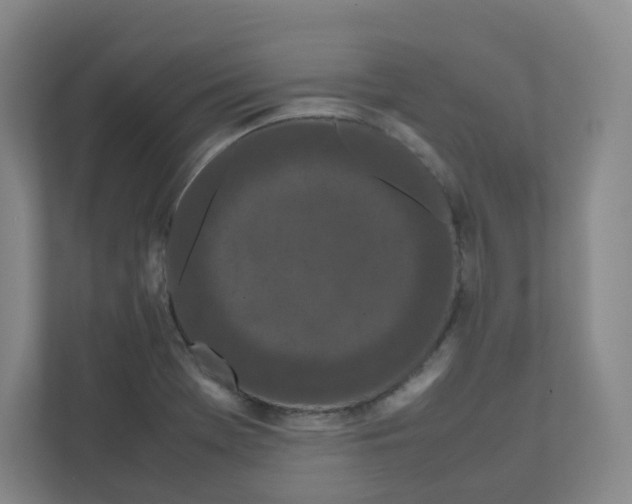 X0000111191369200907291155