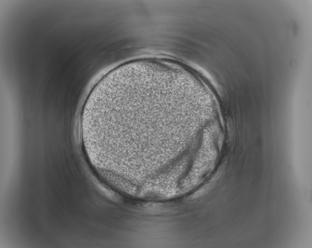 X0000111191371200907291155