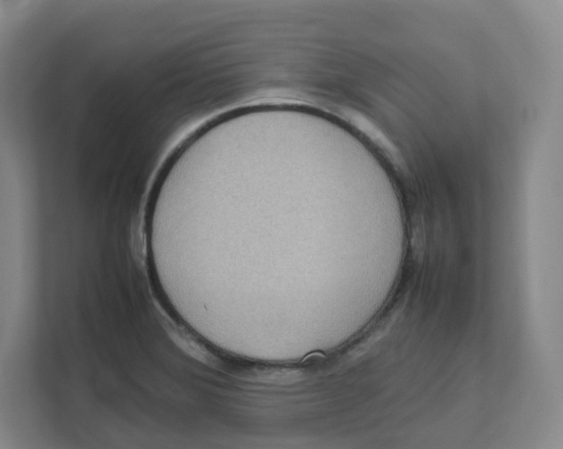 X0000111191372200907291155