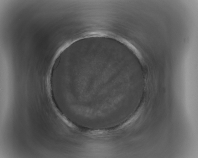 X0000111191373200907291155