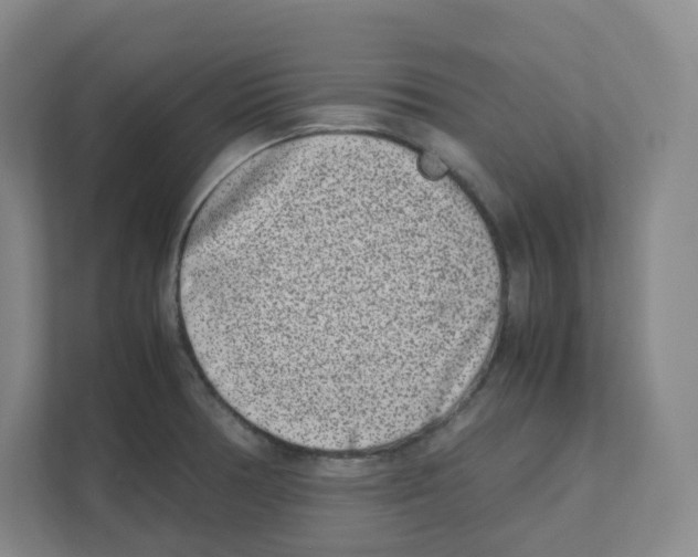X0000111191378200907291155