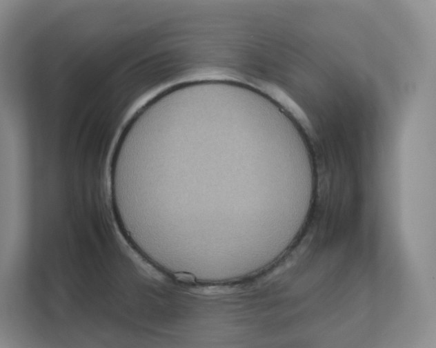 X0000111191380200907291155