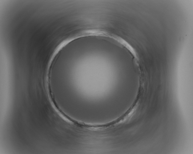 X0000111191381200907291155