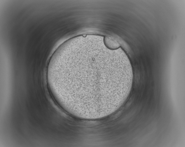 X0000111191382200907291155