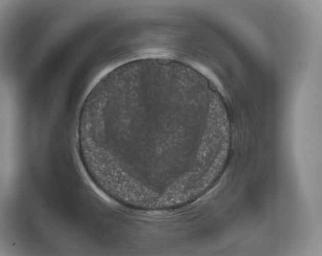 X0000111191383200907291155