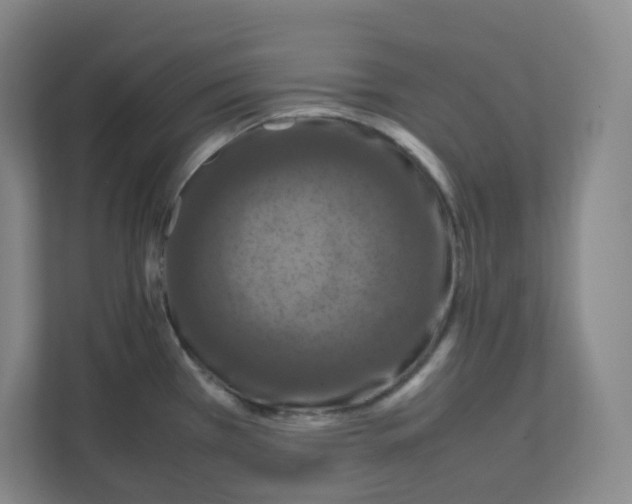 X0000111191385200907291155
